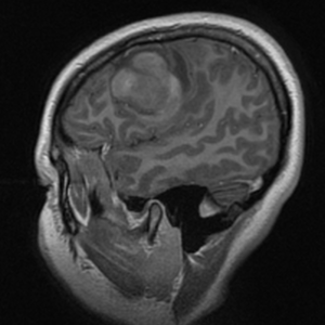 Captura de pantalla 2016-05-12 10.50.47