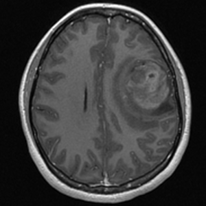 Captura de pantalla 2016-05-12 10.51.29(1)