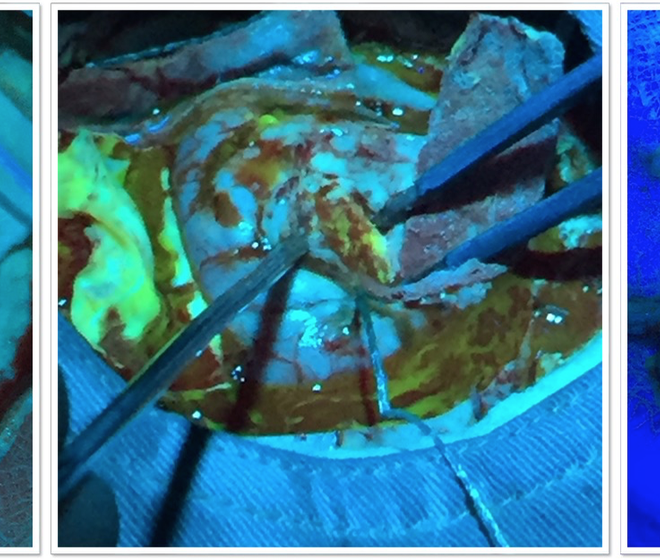 Captura de pantalla 2016-06-23 17.54.29(1)