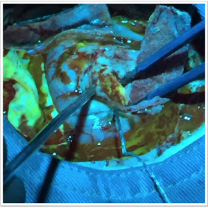 Captura de pantalla 2016-06-23 17.54.29(1)