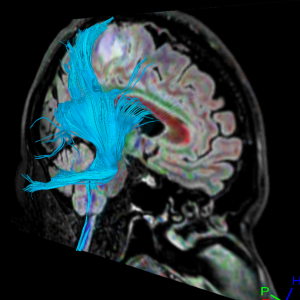 Captura de pantalla 2016-10-21 18.12.34